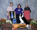 1 HIGH IN TRIAL - CH OTCH Mystic Charmed One Piper Ver RE UDX3 OM5 - Border Collie