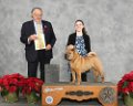 03_Best-JR-Handler_Kaylynn-Chapman-Chinese-Shar-Pei