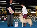 04_BEST JUNIOR HANDLER - Lauren McIlwraith, Siberian Husky