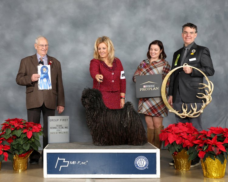 Herding Group: CH Cordmaker Punchinello - Pulik