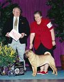 B-6 NON-SPORTING - BRED BY EXHIBITOR - Tejas Squash Blossom - Chinese Shar-Pei