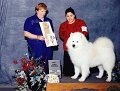 8 BEST JUNIOR HANDLER - Ashley Sluder with Samoyed